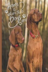 Home is Where the Dogs Are