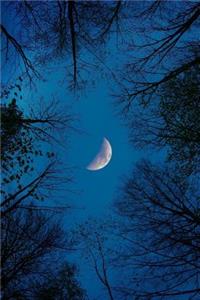 The Woods and the Moon Journal