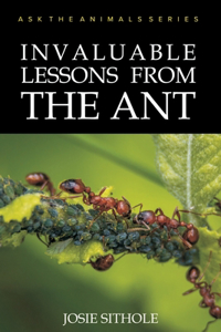 Invaluable Lessons from the Ant