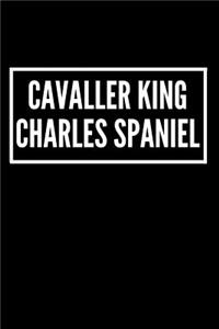 Cavaller King Charles Spaniel