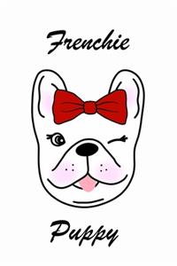 Frenchie Puppy