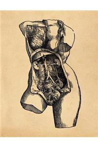 Anatomy Notebook
