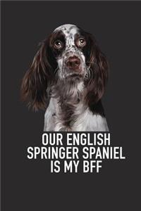 Our English Springer Spaniel Is My Bff