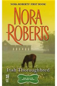 Irish Thoroughbred