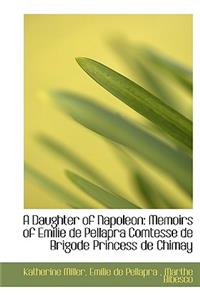 A Daughter of Napoleon: Memoirs of Emilie de Pellapra Comtesse de Brigode Princess de Chimay