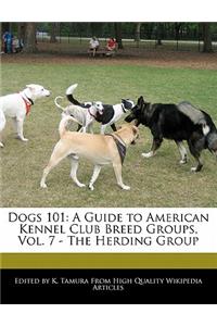 Dogs 101