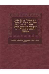 Lois de La Procedure Civile Et Commerciale