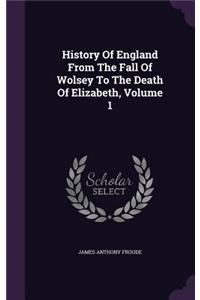 History of England from the Fall of Wolsey to the Death of Elizabeth, Volume 1