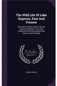 Wild Life Of Lake Superior, Past And Present