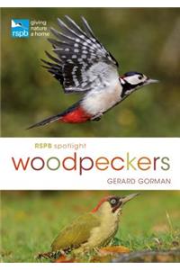 RSPB Spotlight Woodpeckers