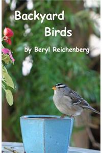 Backyard Birds