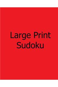Large Print Sudoku