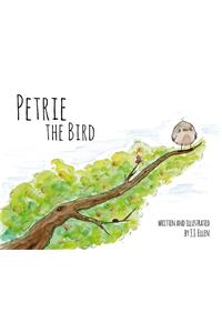 Petrie the Bird