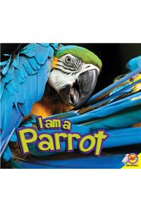 I Am a Parrot