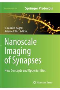 Nanoscale Imaging of Synapses