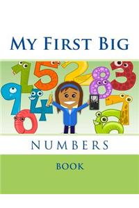 My First Big Numbers Book
