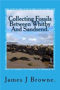 Collecting Fossils Between Whitby And Sandsend.