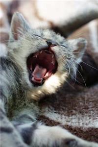 Yawning Kitten Journal