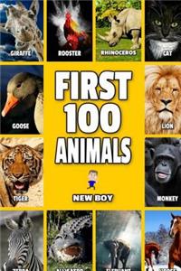 First 100 Animals