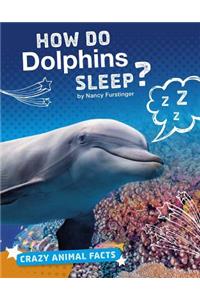 How Do Dolphins Sleep?