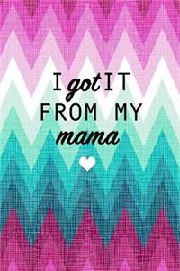 I Got It From My Mama
