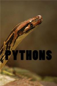 Pythons