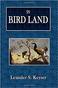 In Bird Land