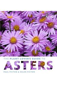 Plant Lover's Guide to Asters