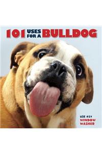 101 Uses for a Bulldog