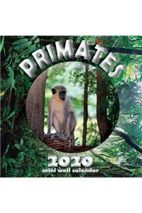 Primates 2020 Mini Wall Calendar
