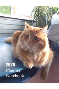 2020 Planner Notebook: Cute Orange Tabby Cat Planner Book With Monthly and Weekly Calendars, Monthly Budget Sheet and Weekly Meal Plan