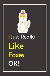 I Just Really Like Foxes, OK !