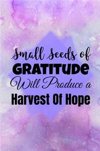 Small Seeds of Gratitude Will Produce A Harvest of Hope