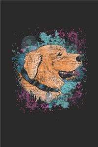 Labrador Color Splatter