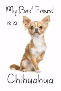 My best Friend is a Chihuahua