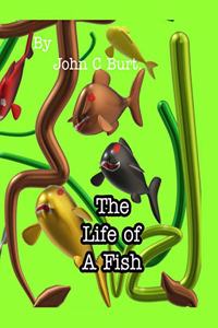 The Life of A Fish.