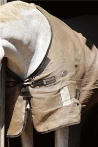 Horse Notebook
