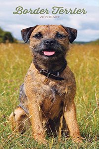 BORDER TERRIERS SLIM D 2019