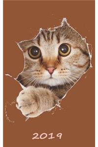 Cat Daily Planner 2019