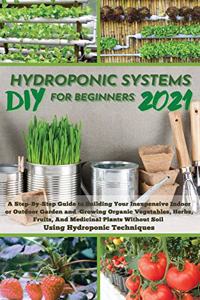 DIY 2021 Hydroponic Systems for Beginners