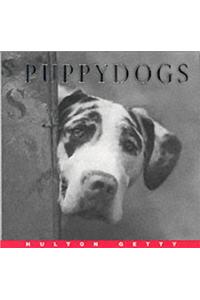 Hg Photo: Puppydogs