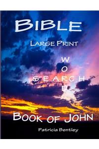 Bible Large Print Word Search