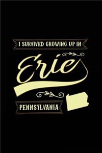 I Survived Growing Up In Erie Pennsylvania