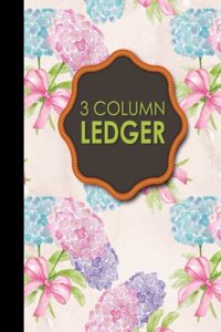 3 Column Ledger