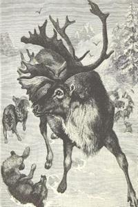 Vintage Reindeer Drawing Journal