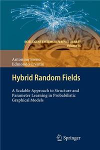Hybrid Random Fields