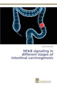 NFκB signaling in different stages of intestinal carcinogenesis