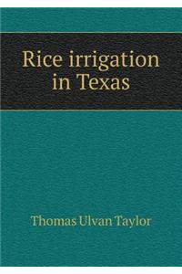Rice irrigation in Texas