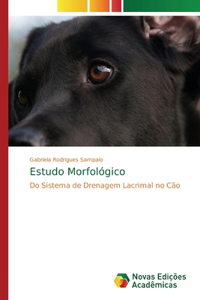 Estudo Morfológico