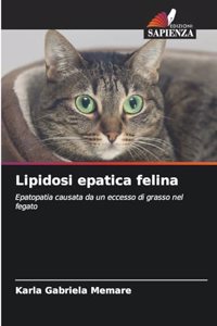 Lipidosi epatica felina
